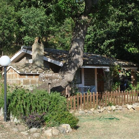 Azienda Agricola Biologica La Cardellina Tolfa المظهر الخارجي الصورة