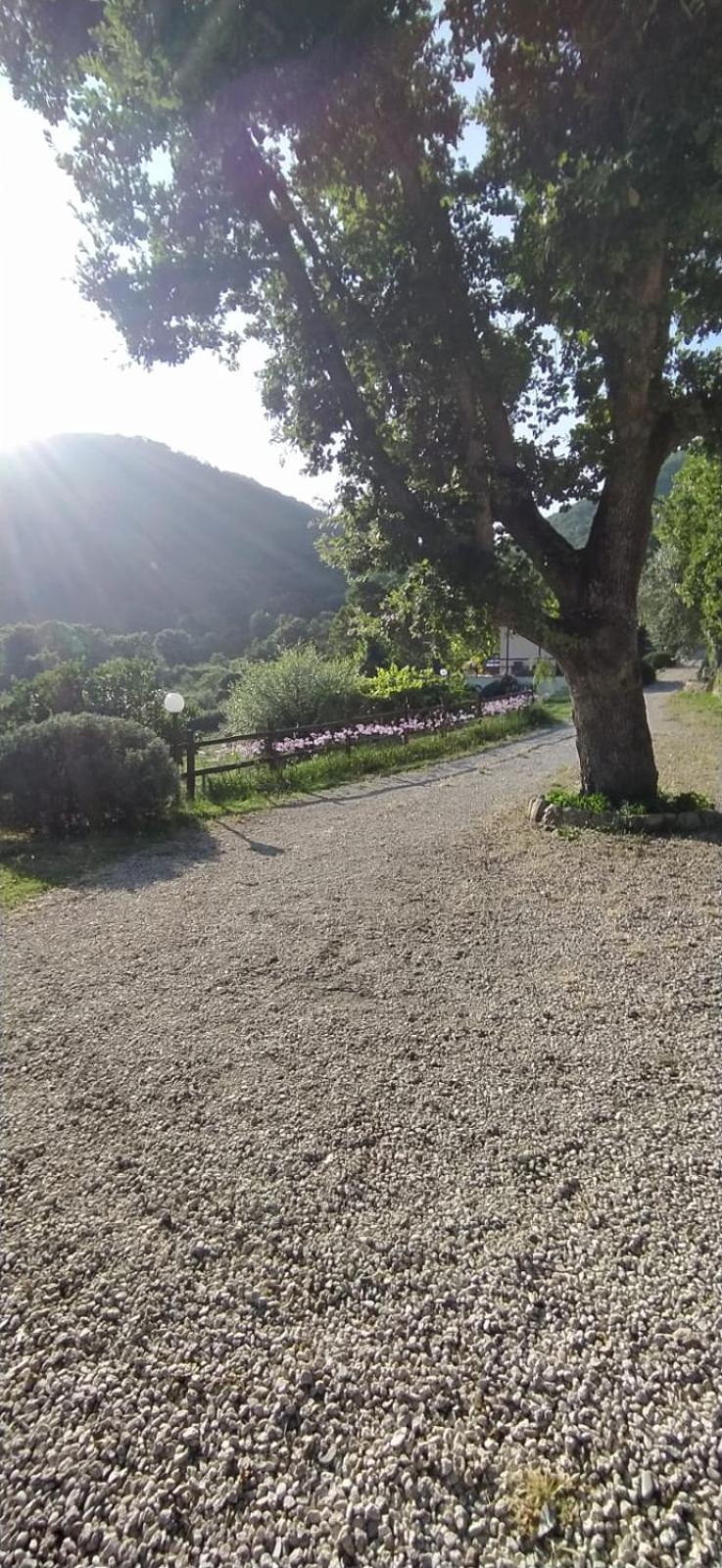 Azienda Agricola Biologica La Cardellina Tolfa المظهر الخارجي الصورة