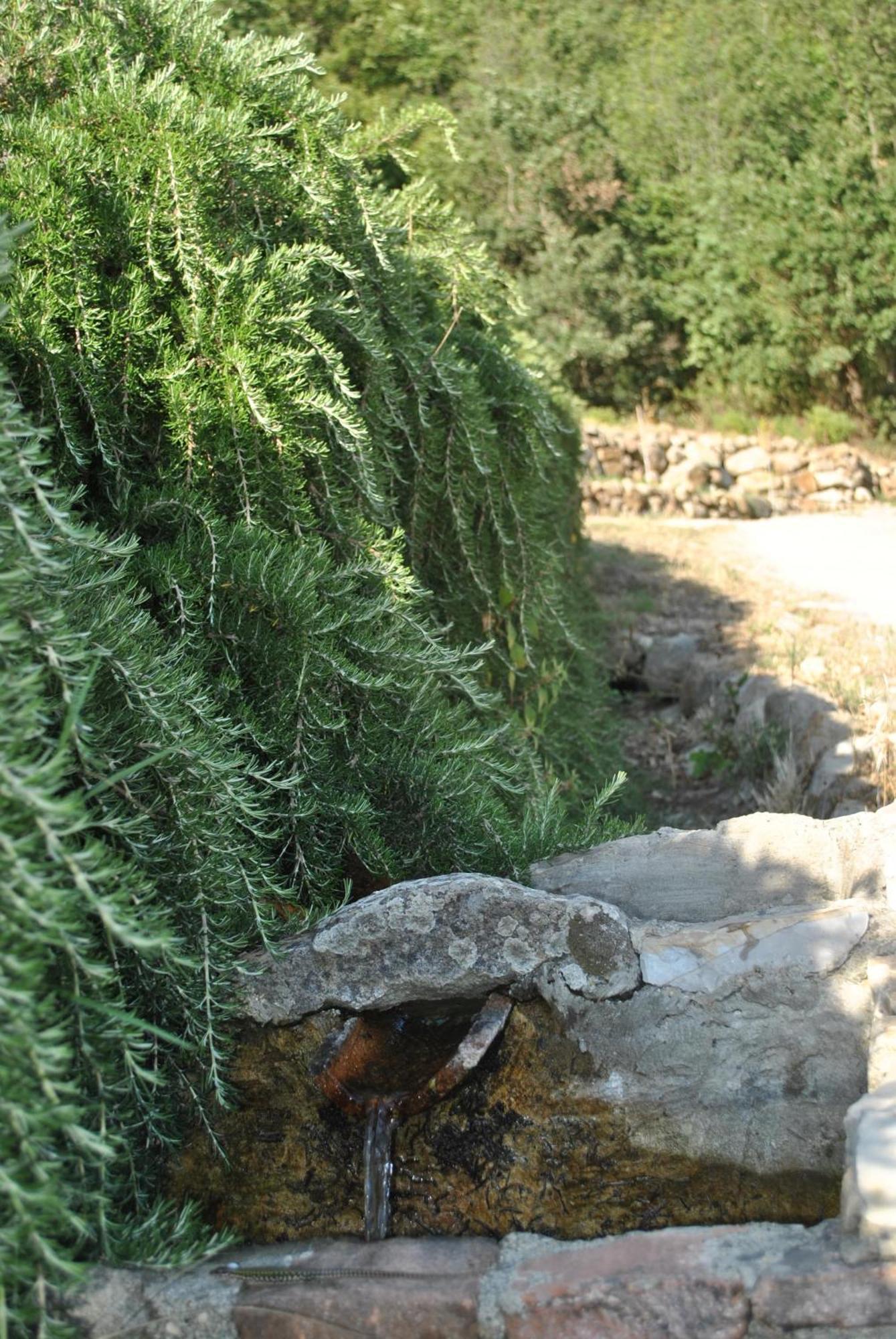 Azienda Agricola Biologica La Cardellina Tolfa المظهر الخارجي الصورة