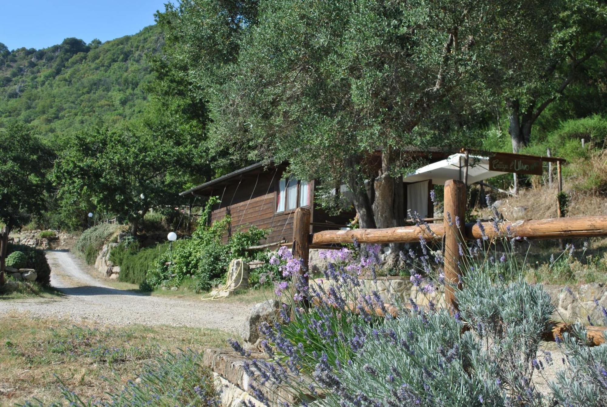 Azienda Agricola Biologica La Cardellina Tolfa المظهر الخارجي الصورة