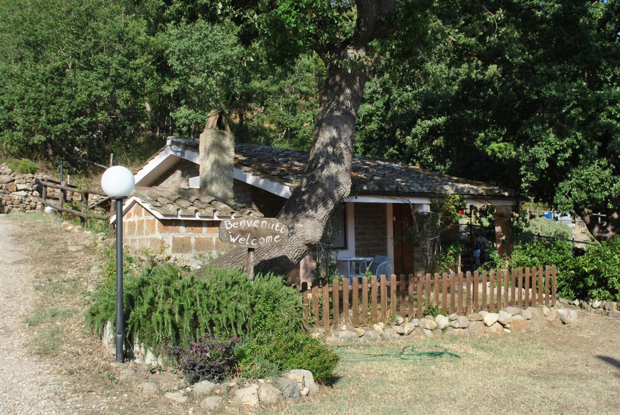 Azienda Agricola Biologica La Cardellina Tolfa المظهر الخارجي الصورة