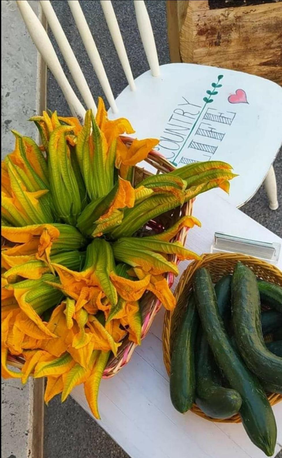 Azienda Agricola Biologica La Cardellina Tolfa المظهر الخارجي الصورة