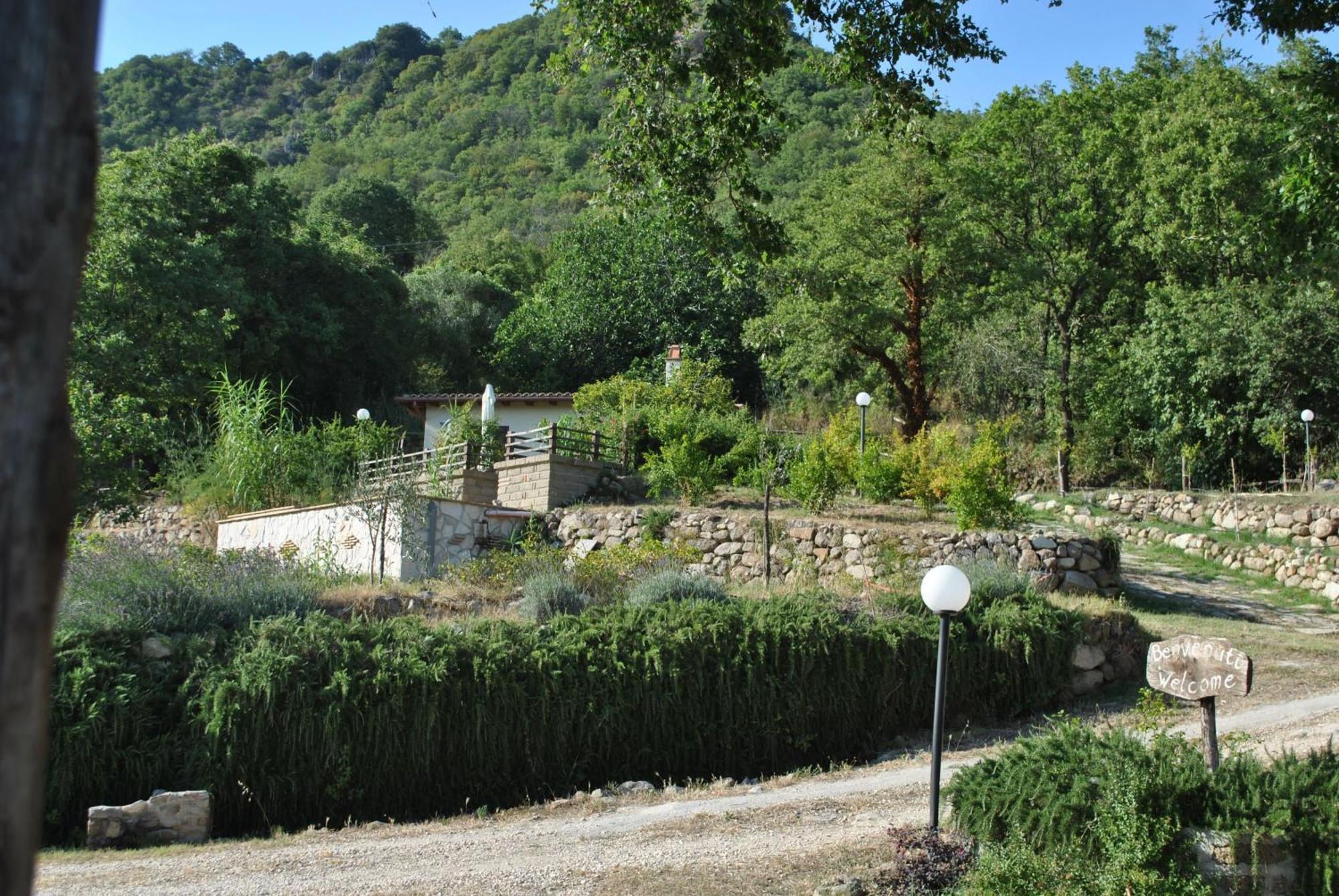 Azienda Agricola Biologica La Cardellina Tolfa المظهر الخارجي الصورة
