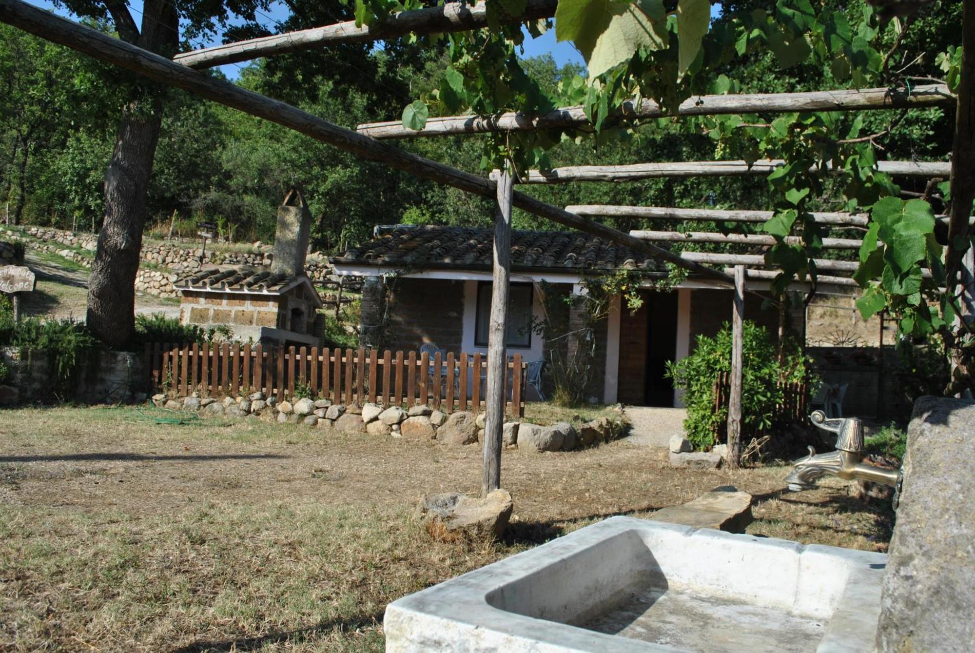 Azienda Agricola Biologica La Cardellina Tolfa المظهر الخارجي الصورة